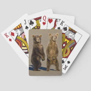 USA. Alaska. Coastal Brown Bear cubs Poker Cards