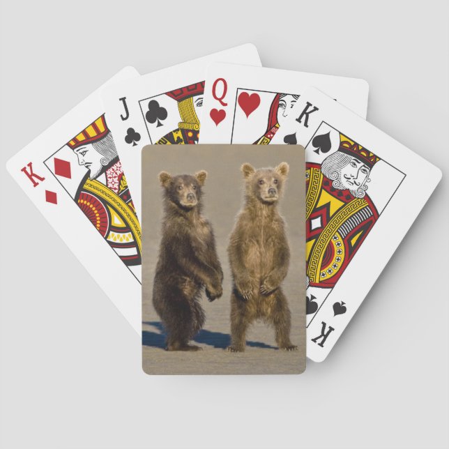 USA. Alaska. Coastal Brown Bear cubs Poker Cards (Back)