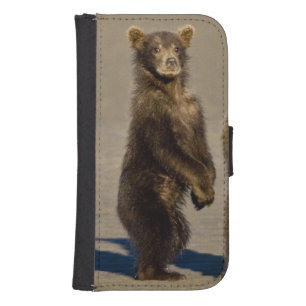 USA. Alaska. Coastal Brown Bear cubs Wallet Phone Case For Samsung Galaxy S4