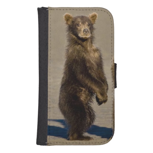 USA. Alaska. Coastal Brown Bear cubs Samsung Galaxy Wallet Case (Front)