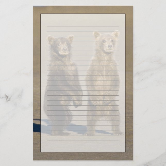 USA. Alaska. Coastal Brown Bear cubs Stationery (Front)