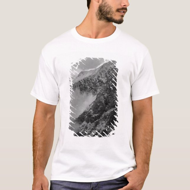 USA, Alaska, Denali National Park, Aerial view 4 T-Shirt (Front)