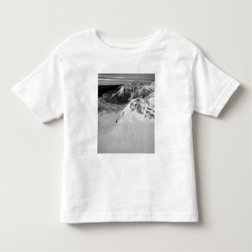 USA Alaska Denali National Park Aerial view Toddler T_shirt