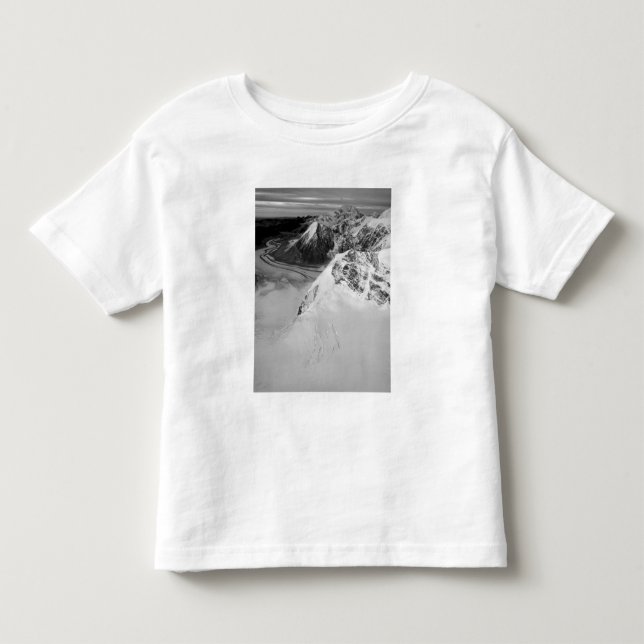 USA, Alaska, Denali National Park, Aerial view Toddler T-shirt (Front)