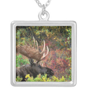 USA, Alaska, Denali National Park, Bull Moose Silver Plated Necklace
