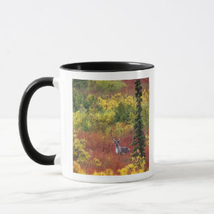 USA, Alaska, Denali National Park. Caribou Mug