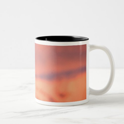USA Alaska Denali National Park Dalls Two_Tone Coffee Mug