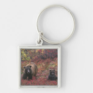 USA, Alaska, Denali National Park. Grizzly bear Keychain