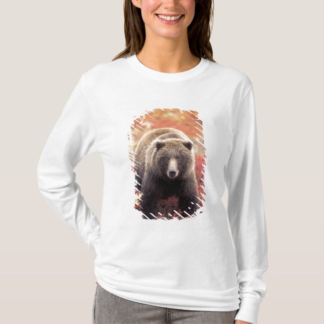 USA, Alaska, Denali NP, female Grizzly Bear T-Shirt (Front)
