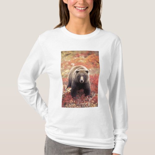 USA Alaska Denali NP female Grizzly Bear T_Shirt