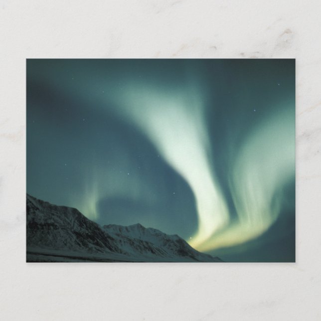 USA, Alaska, Gates of the Arctic National Postcard (Front)