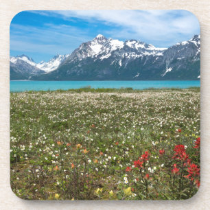 USA, Alaska, Glacier Bay National Park 2 Beverage Coaster