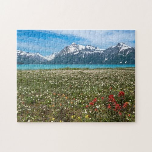 USA Alaska Glacier Bay National Park 2 Jigsaw Puzzle