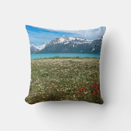 USA Alaska Glacier Bay National Park 2 Throw Pillow