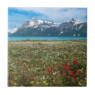 USA, Alaska, Glacier Bay National Park 2 Tile