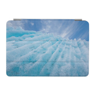 USA, Alaska, Glacier Bay National Park 4 iPad Mini Cover