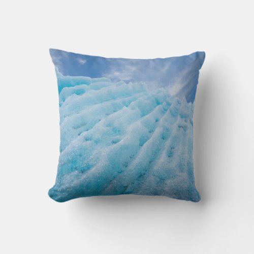 USA Alaska Glacier Bay National Park 4 Throw Pillow