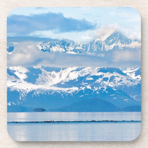 USA Alaska Glacier Bay National Park 7 Coaster