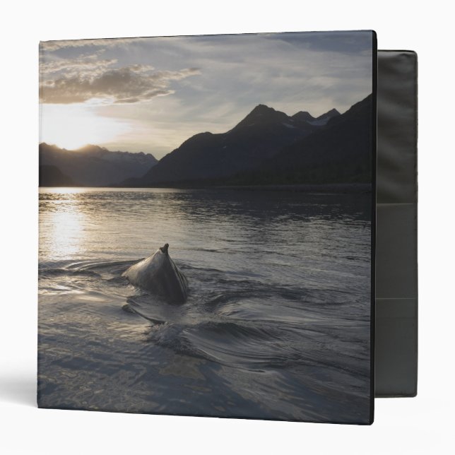 USA, Alaska, Glacier Bay National Park, Binder (Front/Inside)