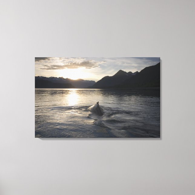 USA, Alaska, Glacier Bay National Park, Canvas Print (Front)
