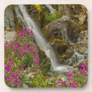 USA, Alaska, Glacier Bay National Park. Fireweed Drink Coaster