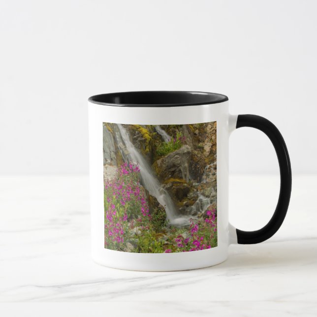 USA, Alaska, Glacier Bay National Park. Fireweed Mug (Right)
