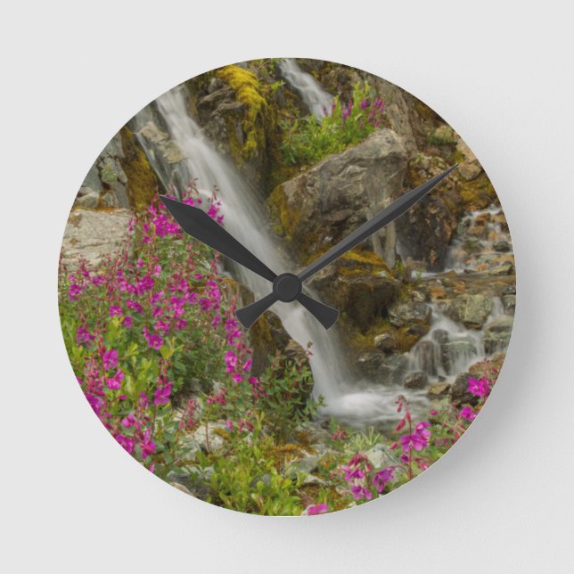 USA, Alaska, Glacier Bay National Park. Fireweed Round Clock (Front)