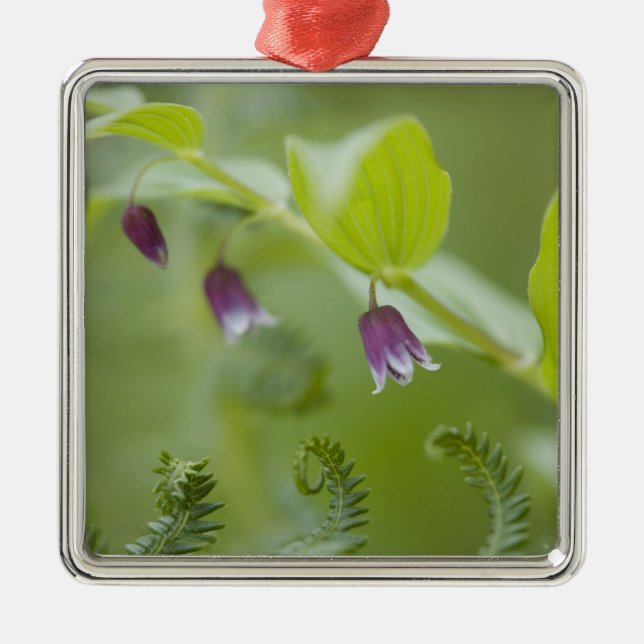 USA, Alaska, Glacier Bay National Park. Metal Ornament (Front)