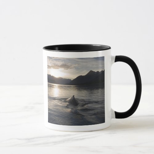 USA Alaska Glacier Bay National Park Mug