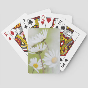 USA, Alaska, Glacier Bay National Park Poker Cards
