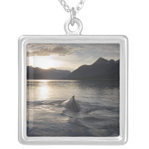 USA Alaska Glacier Bay National Park Silver Plated Necklace