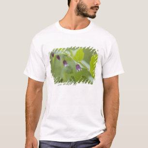 USA, Alaska, Glacier Bay National Park. T-Shirt