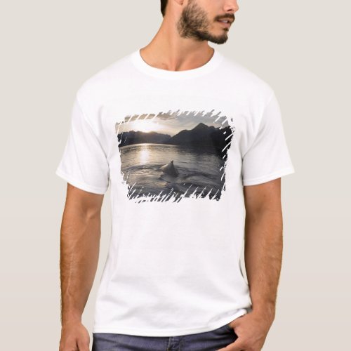 USA Alaska Glacier Bay National Park T_Shirt