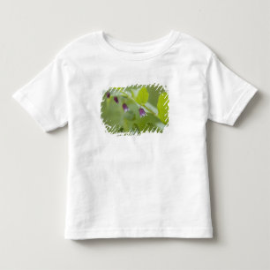USA, Alaska, Glacier Bay National Park. Toddler T-shirt