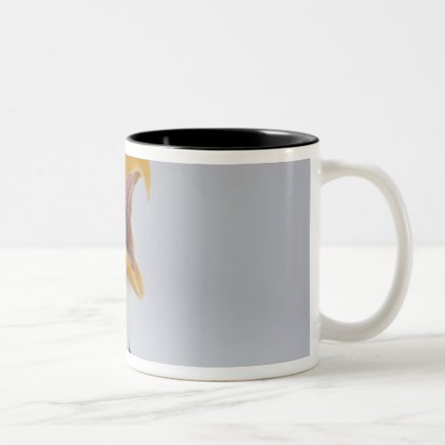 USA Alaska Homer Bald eagle screaming Credit Two_Tone Coffee Mug