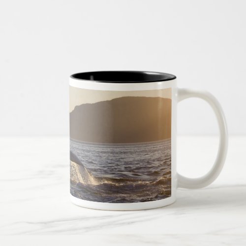 USA Alaska Humpback Whale Megaptera Two_Tone Coffee Mug