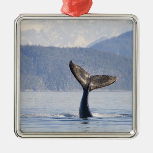 USA Alaska Icy Strait Humpback Whale calf Metal Ornament