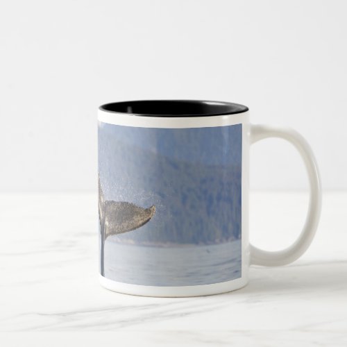 USA Alaska Icy Strait Humpback Whale calf Two_Tone Coffee Mug