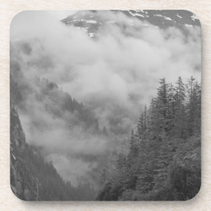 USA, Alaska, Juneau, Rainforest covers fjords in Coaster