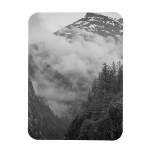 USA, Alaska, Juneau, Rainforest covers fjords in Magnet