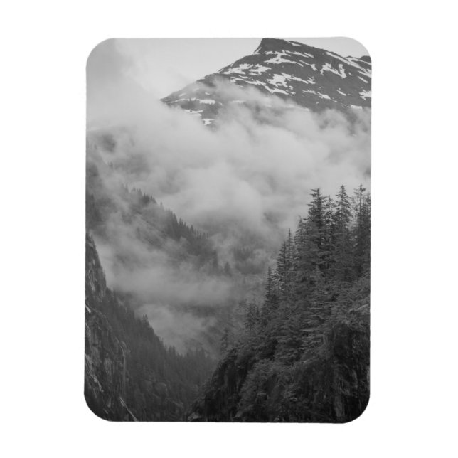 USA, Alaska, Juneau, Rainforest covers fjords in Magnet (Vertical)
