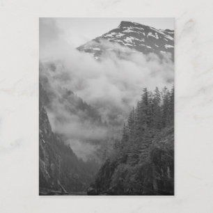 USA, Alaska, Juneau, Rainforest covers fjords in Postcard