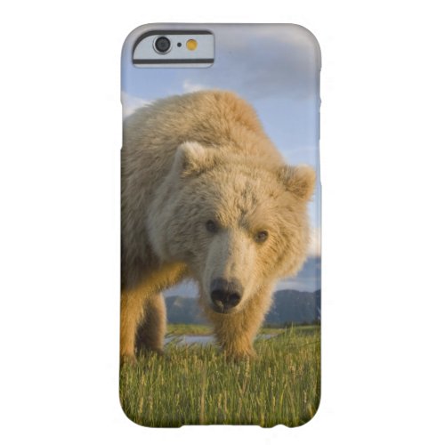 USA Alaska Katmai National Park Brown Bear 3 Barely There iPhone 6 Case