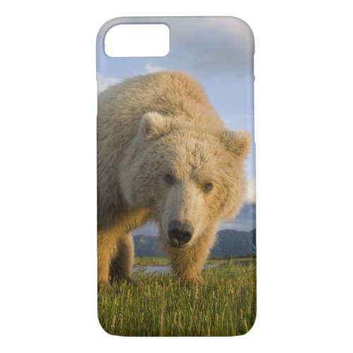 USA Alaska Katmai National Park Brown Bear 3 iPhone 87 Case