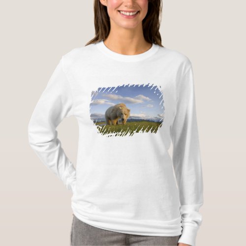 USA Alaska Katmai National Park Brown Bear 3 T_Shirt