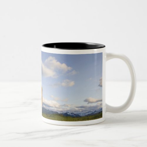 USA Alaska Katmai National Park Brown Bear 3 Two_Tone Coffee Mug