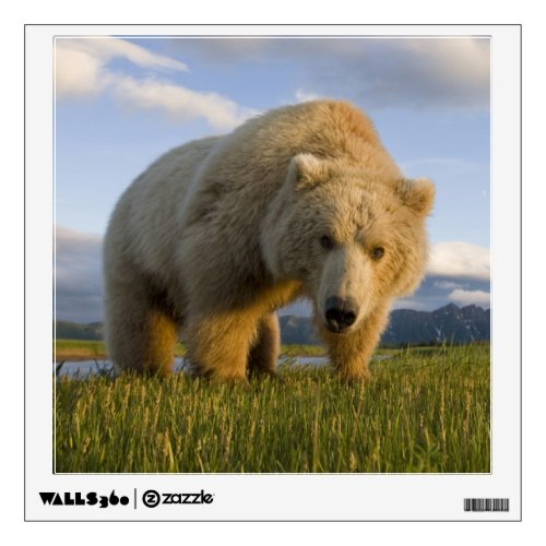 USA Alaska Katmai National Park Brown Bear 3 Wall Sticker