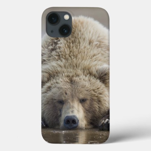 USA Alaska Katmai National Park Brown Bear 4 iPhone 13 Case