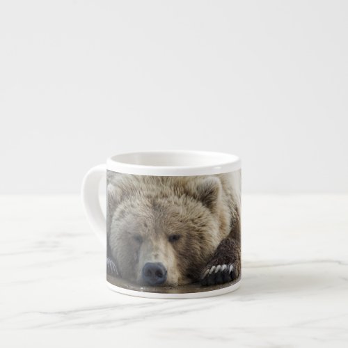 USA Alaska Katmai National Park Brown Bear 4 Espresso Cup