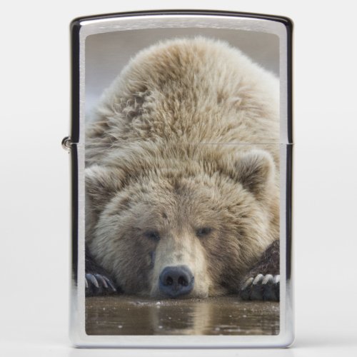 USA Alaska Katmai National Park Brown Bear 4 Zippo Lighter